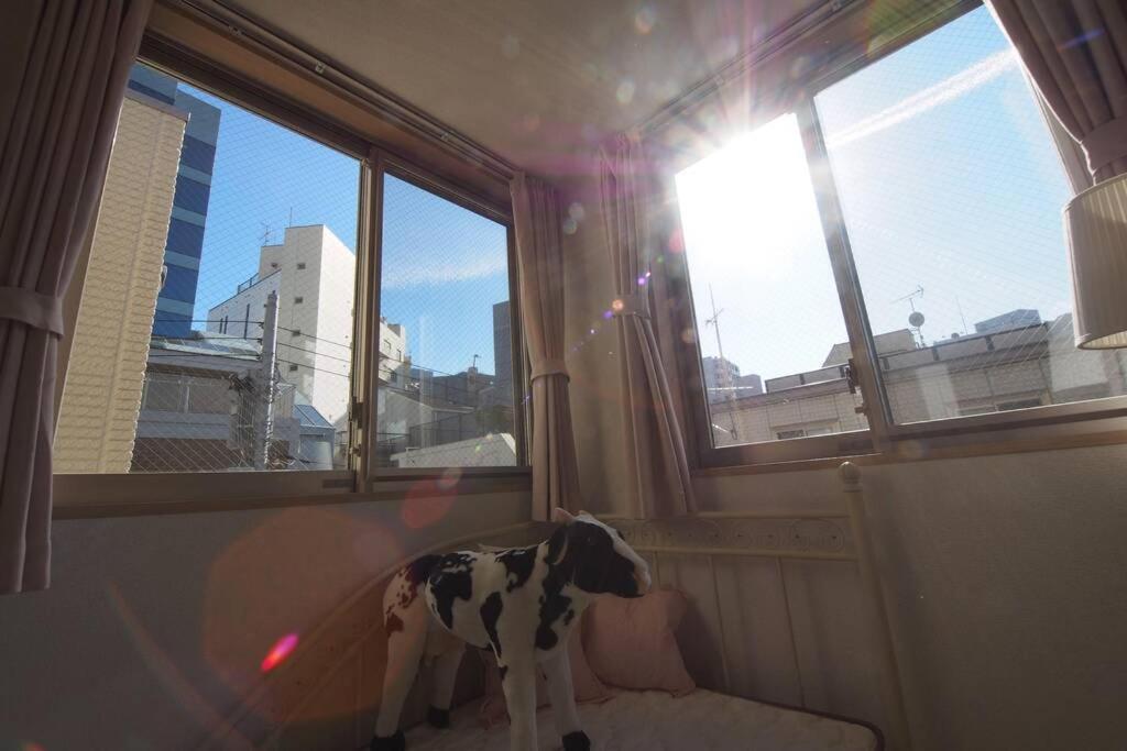 【Great Location!】Near Shinjuku Sta./Girls #302 Tóquio Exterior foto
